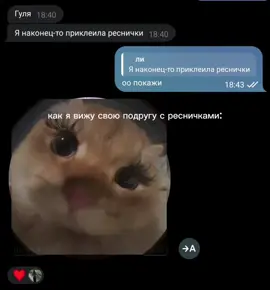 #реально #подруга #кошечка #реснички