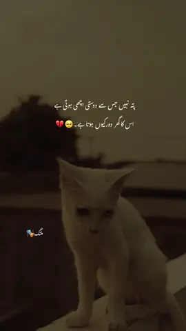 Q?🥺💔 #malang#fyppppppppppppppppppp #fyppppppppppppppppppp #fyp #unfrezzmyaccount #views #viral #foryou