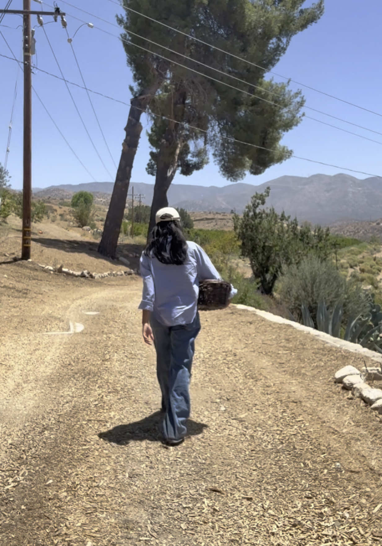 Living my Leo daughter dreams tbh #hosting #brunch #farmlife #homemaker 