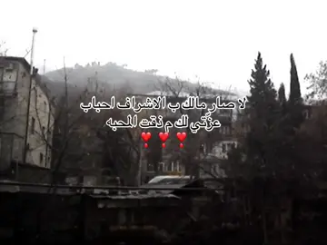 #الاشراف #بني_هاشم #قريش #حكام_الحجاز #الشريف #515 