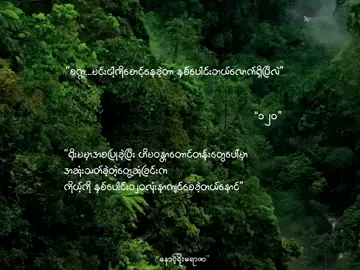 “နောင့်ရိုးမရာဇာ” #fyp #wattpad #fiction #thankb4youdo #foryou 