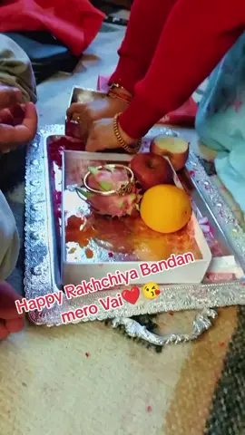 #anitathapaale#vclf🇳🇵🇳🇵 #नेपालीकलासंस्कृति  #tiktoknepal🇳🇵 #viraltiktok #tradingvideo #foryoupage #fyp #जयगित_जयसंगीत  #anitathapaale