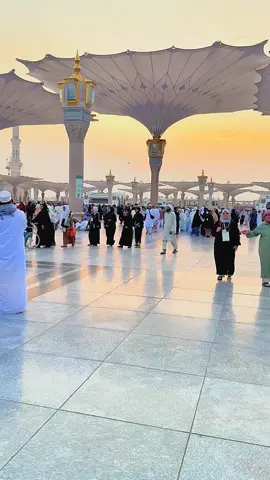 Me dil ko chur aya hun madina ko #unfreezemyacoun 