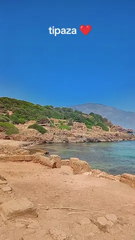#tipaza #algeria #typ #10k 