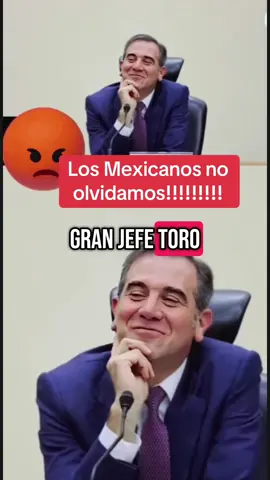 #lorenzocordova #elinenosetoca #somosmx #marearosa #amlo 