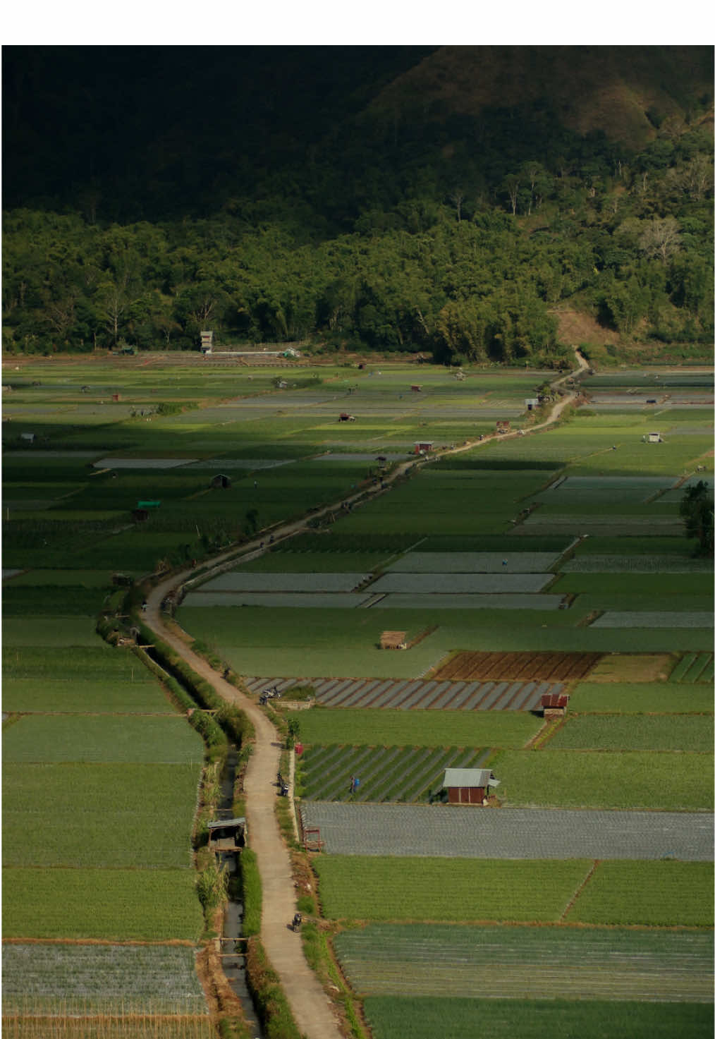 Sembalun - Lombok, Indonesia 🇮🇩  Sembalun est un village de montagne situé dans une large vallée fertile à l’est de Lombok, au pied du volcan Rinjani. Connu pour ses paysages spectaculaires, il est entouré de collines colorées, de champs cultivés en damier et de plantations de fraises. En vous promenant en scooter, vous risqueriez de découvrir des routes magnifiques ! #sembalun #lombok #cinematic #fyp #roadtripindonesia #indonesia 
