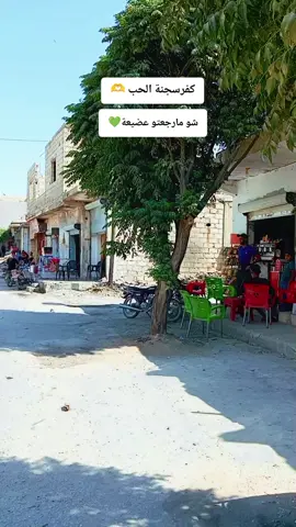 شو مارجعتو عضيعة 💚  #كفرسجنة #ادلب #سوريا #تصويري_احترافي_الاجواء👌🏻🕊😴 