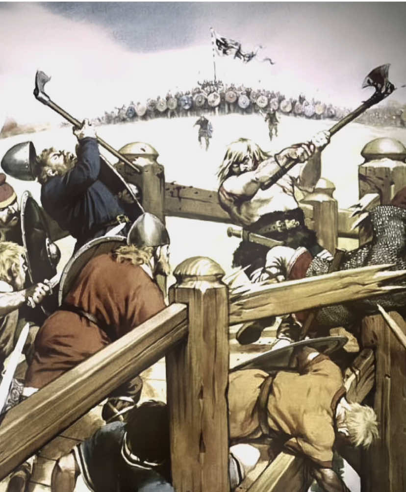 unmatched skill in battle🇩🇰🇳🇴#fyp #edit #viking #vikingedit #denmark #norway #england #History #historyedit #berserker #battleofstamfordbridge 