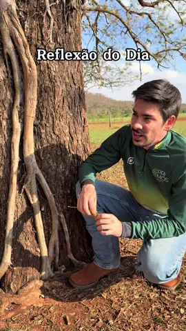 A natureza ensina!  #primosagro #agro #jaoeseuduardo #viral #natureza #ensinamentos #companhia #amizade #agronomo @João Vitor Castro @SeuDuardo 