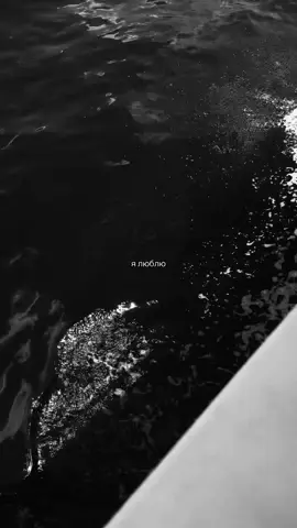 #nuriserinlendirici #yaryar #🇦🇿 #fyppppppppppppppppppppppp 