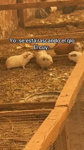 #fyppppppppppppppppppppppp 