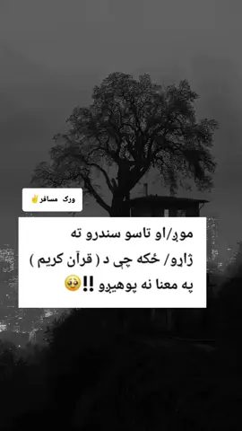 @︻╦̵̵͇̿̿̿̿King MK︻╦̵̵͇̿̿̿̿══╤─ 👉✌      @🥀🌹🇦🇫🌹ورک سرباز🌹🇦🇫🌹🥀 