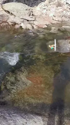 Stay down