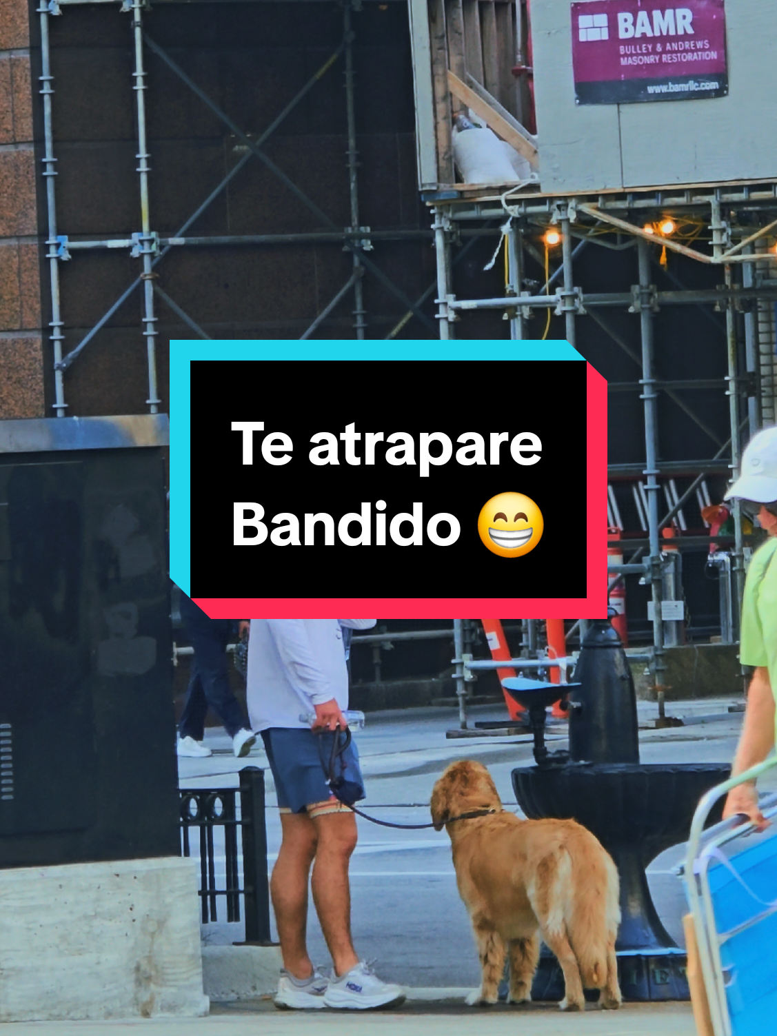 Ustedes que me aconsejan?, Taquito necesita hacer nuevos amiguitos, verdad?... 😁😁😁  #sabadouuuu #sabadosfelices #sabado #saturday #findesemana #chicagocity #chicagotiktok #chicago #teatraparebandido #teatraparebandidotelojuro 