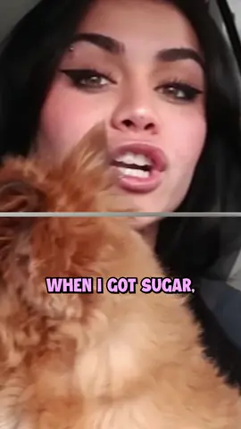 #tarayummy #tarayummyedit #vinniehacker 
