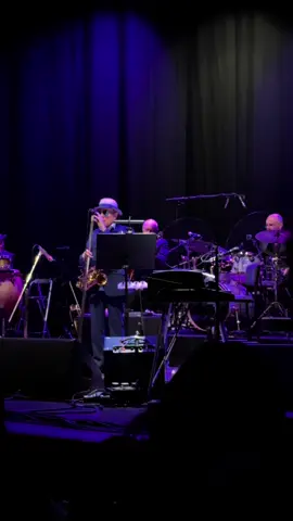 Van Morrison - Amare - The Hague  #vanmorrison #vanmorrisoncover #vanmorrisonguitar #concert #rockandroll #fyp 