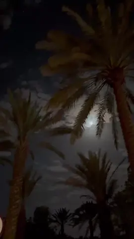 #اكسبلور #gd #اكسبلور 