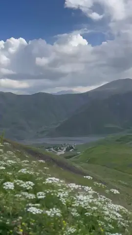 Dağlar qoynunda #quba #azerbaycan🇦🇿 #creatorsearchinsights 