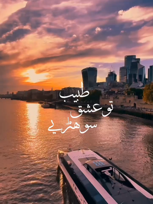Tu Ishq Tabib Sohnriye🥀💦#music #song #lyricsvideo #songlover  #musislover❣ #aesthetic #trending 