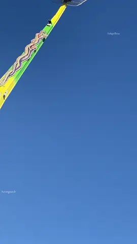 Can’t wait to see this years lineup 🤩 #like #campfloggnaw2025 #CapCut #share #viral #trending #concert 