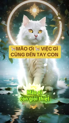 Mão ơi việc gì cũng đến tay con! #tuoimao #tailocmayman #phongthuytamlinh #tuvi12congiap #phatphapnhiemmau 