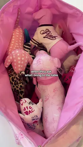 Take it or leave it I guess… P.S. PINK x LoveShackFancy plush dogs are sold out online, but your local store might have them. Shop irl before they're gone! #VSPINK #LoveShackFancy #pinkxloveshackfancy #dogs #minidogs 