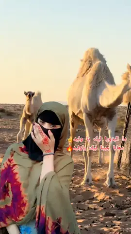 #الغبرون دا البدورا ليك يا وليد✌️  دهابا جينا ليك ياوليد🔥#جقله_الخير_جقله_العز #الشهداء_احياء_عند_ربهم_يرزقون #جنيديون_ولنا_في_قمة_المجد_رايات🔥🇸🇩 #ابوروجو_بدو_غرب_السودان💪 