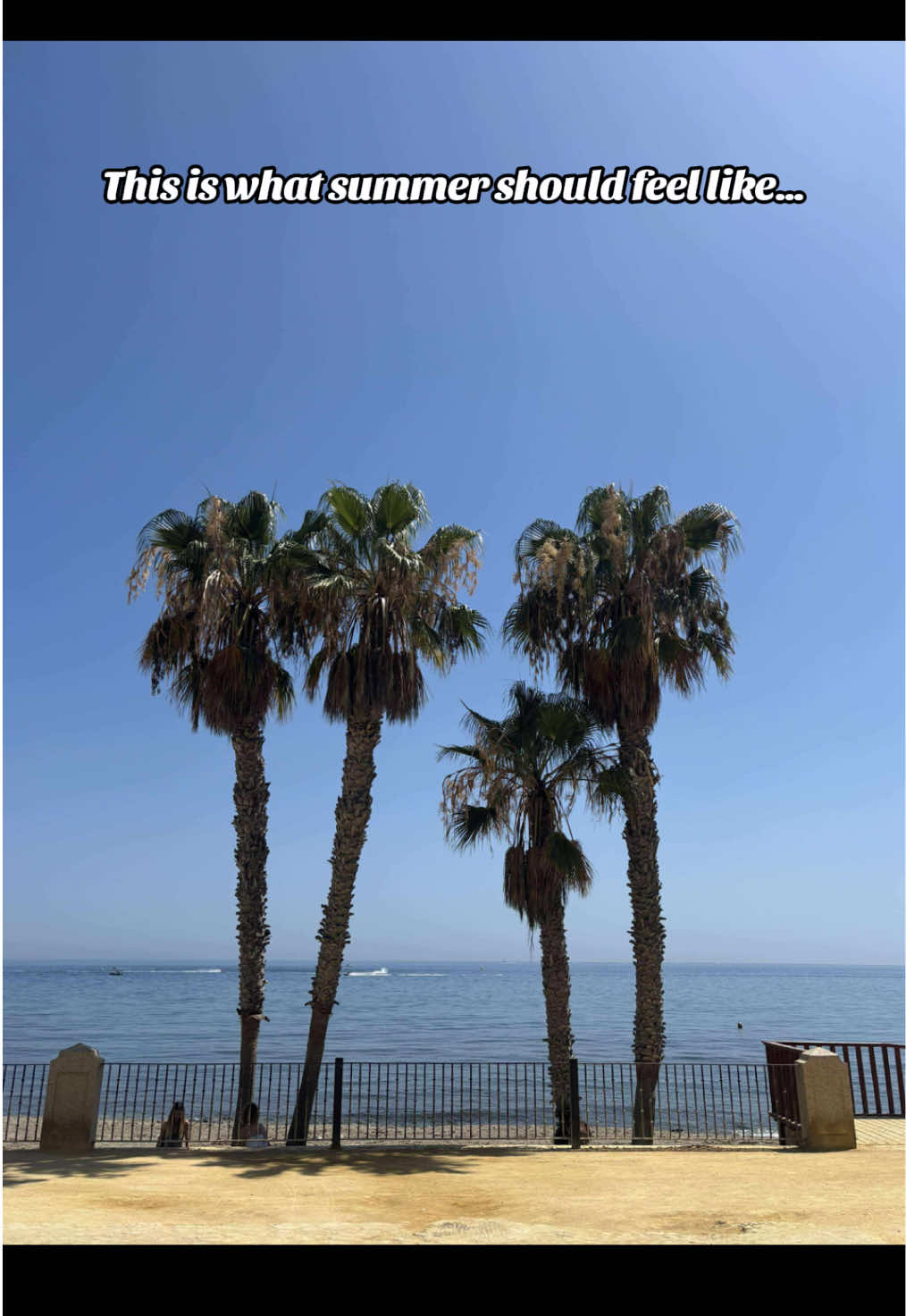 Beaches, yachts, sunsets… and that Marbella energy!#PuertoBanus #MarbellaVibes #CostaDelSol #TravelTok #SummerInSpain #BucketListTravel #MyLifeBeLike 