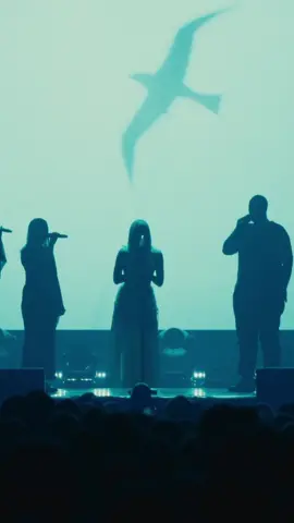 💙🕊️ #theriver #OnTour #livemusic 