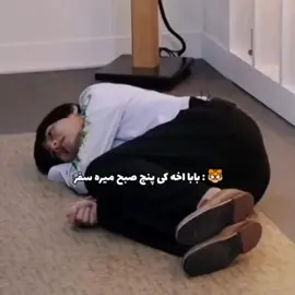 فوریو بود بگید