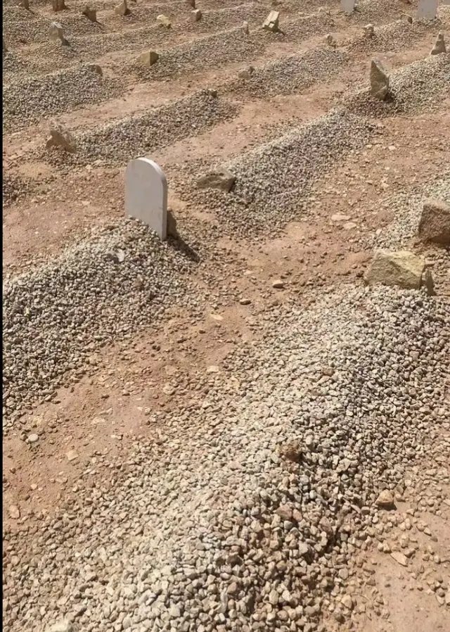 إلي أولئك المتسابقين لالتقاط صور عند إنزال الميت في قبره، هل ماتت قلوبكم؟! لا أدري كيف يجد الإنسان راحته وهو في محل تحيطه الهيبة وتجلله الخشيه - أن يفتح جواله ليلتقط صورًا؛ يريدها للعظة والغيرة وهو لم يعد ولم يتعظ ولم يعتبر ! القبر من هيبته أنه أول منازل الآخره فمن لم يتهيب تلك المنازل لم يزل قلبه ميتًا يحتاج لما يحييه من المواعظ . . . #درنه_بنغازي_البيضاء_طبرق_ليبيا_اجدابيا 