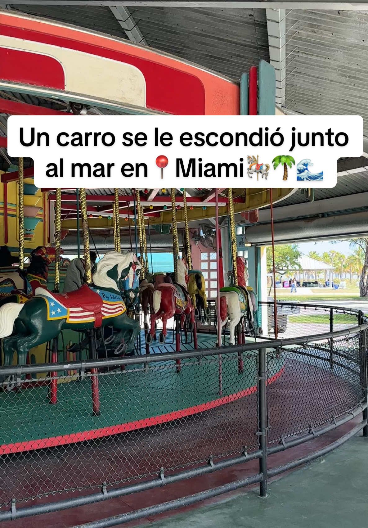 🎠Un carrusel histórico junto al mar, ideal para un día con niños o familiar en Miami🙌🏼🌴🎠 📍Crandon Park Carousel – Key Biscayne.  #miami #crandonpark #keybiscayne #carrusel #planfamiliar #cosasquehacerenmiami #parqueinfantil #floridavibes #florida #miamibeach #visitmiami #travelwithkids #planesenfamilia #miamifamily #natureflorida #miamiplans #creatorsearchinsights #thingstodoinmiamiwithkids 