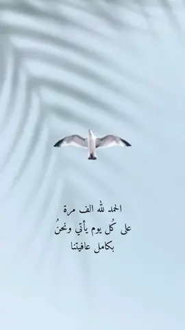 #الحمدالله_علی_کل_حال❤ #كلام_من_القلب #كلام_من_ذهب #🕊️ #🦋 