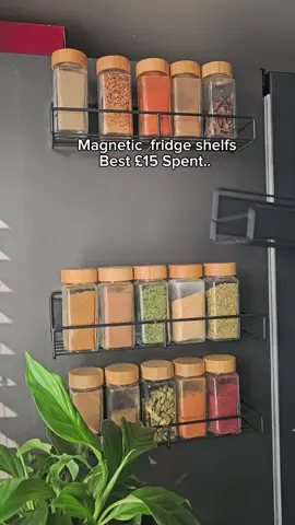 #KitchenHacks #fridgeorganization #kitchenorganization #shelf #tiktokmademebuyit 