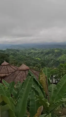 চলে আসুন এটাই সময় সাজেক যাওয়ার 🏕️💙💙👌#fyp #রাংগামাটি #সাজেক_ভ্যালি_মেঘের_রাজ্য🌹🥀 #সাজেক_ভ্যালি #bangladesh 