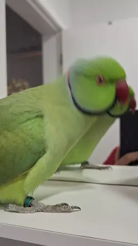 Que dó🤣🤌 #viraltiktok #tiktok 