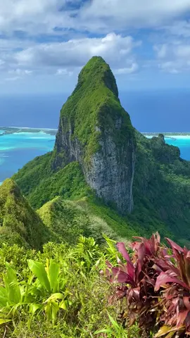 Bora Bora vibes #fyp #polynesiantiktok #borabora 