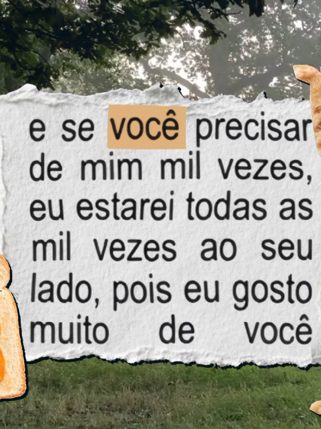 vídeo fofinho de gatos #askapony #muitoeu #amigas #vaiprofycaramba #fy #namorados #manas