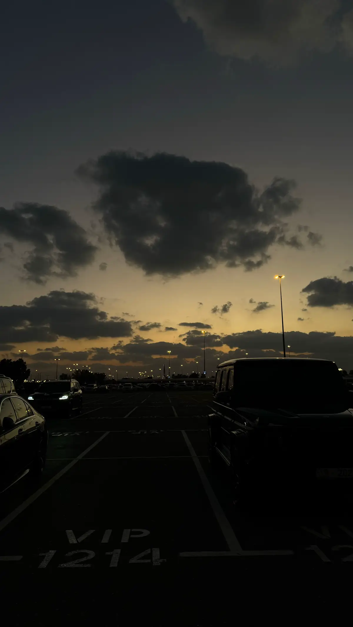 #fypシ #ميحد_حمد_الفنان_الاماراتي_الاول #بن_روغه #ميحد 