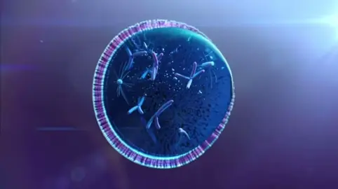 step on up, mitosis! #biology #bio #apbio #apbiology #Science #cell #mitochondria #rna #dna #transcription #translation #highschool #classof2026 #classof2027 #edit #neuronerd #sciencetok #fyp #viral #apscores #steponup #gimmemore #arianagrande #britneyspears #steponupxgimmemore #nopole #nopoleremix #college #highschool #mitosis #meiosis #metaphase #cellcycle #phd #research #apchem #undergrad #collegeadmissions #academic #academicvalidation #academicweapon #apbiosurvivor #classof2028 #classof2029 #music #lyrics #study #studytok #rorygilmore 