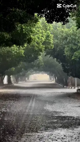 #الطائف #امطار_الخير 