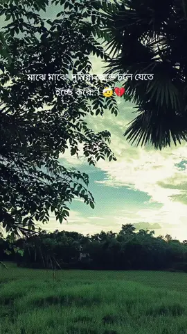 #আসাদুজ্জামান নূর #কাজি হায়াত #pyfツviral_❤ #🤕💔🥀 #100kviews #1kviews #sadvibes #music #foryoupage #vairalvideo #vairalmusic❤️🥰🥰 #bdtiktokofficial @TikTok @TikTok Bangladesh 