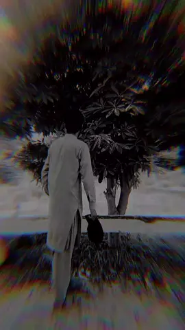 bedard vi nai khud garz vi nai#zishanrokhri #tiktokpakis #virlvideo #tiktokviral #najeeb_writes #growmyaccount 