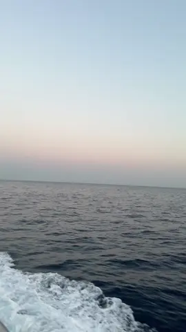 this and never going back to school                              #creatorsearchinsights  #TikTokTrends #foryoupage #viral #sunset #beach 