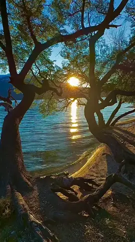 Boa tarde , que você tenha uma tarde abençoada , cheia de alegrias e sonhos realizados ,  boa tarde 🥰🙏 . . . #boatardeatodos  #motivação #status #motivacional #foryou #viralvideos 