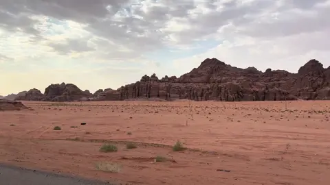 صحراء تبوك ليست مجرد امتدادٍ من الرمل والسراب، بل لوحةً رسمتها يدُ الزمن بألوان الشمس الغاربة ونفَس الريح العابر. هناك، حيث السكون أعمق من صمت الليل، وحيث الخطوات على الرمال تترك حروفاً لا تقرؤها إلا القلوب العاشقة للمكان. رائحة التراب بعد المطر تحكي حكاية الغيم حين عانق الأرض، وتلك التلال الرملية تتماوج كبحر ساكن، كأنها تحفظ أسرار القوافل والرحالة الذين مرّوا بها منذ قرون.    #explore #fyp #tabuk🇸🇦 