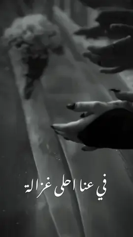 #عروستنا_الله_يتمم_لك_على_خير #اكسبلورexplore 