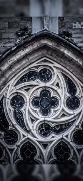 Hidden World #hiddenworld #oldworld #frequency #healing 