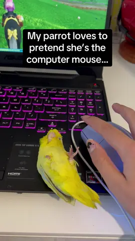 I think she loved the head scratches at the end more 😂😭 #RoadTo19M #Pubity  (@hayley_and_eileen via ViralHog)