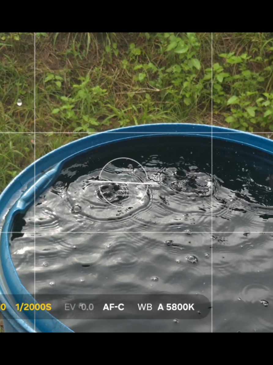 o poder da câmera do Galaxy S24 FE em um vídeo cinematográfico #samsung #galaxy #s24fe #withgalaxy #fy #fyp #cinematic 